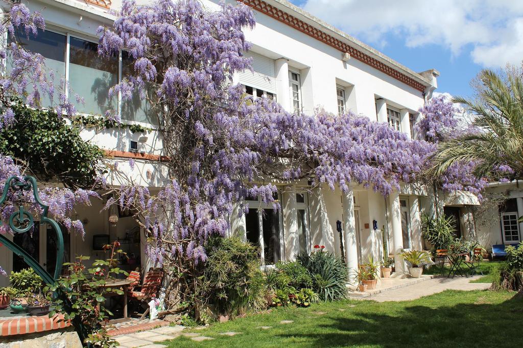 Domaine Saint Nicolas Bed & Breakfast Perpignan Eksteriør bilde
